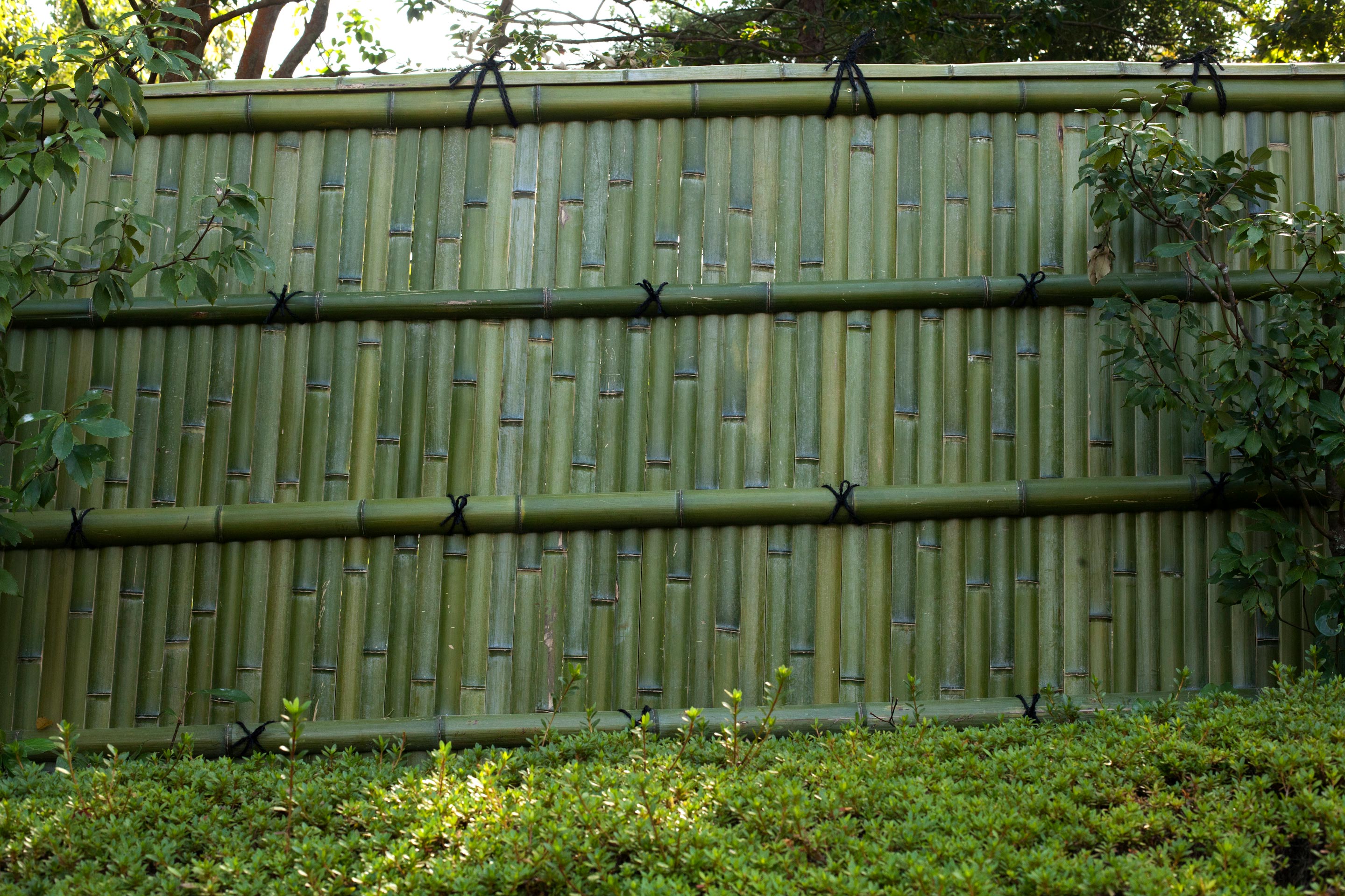 Kenninjigaki arashiyama 03