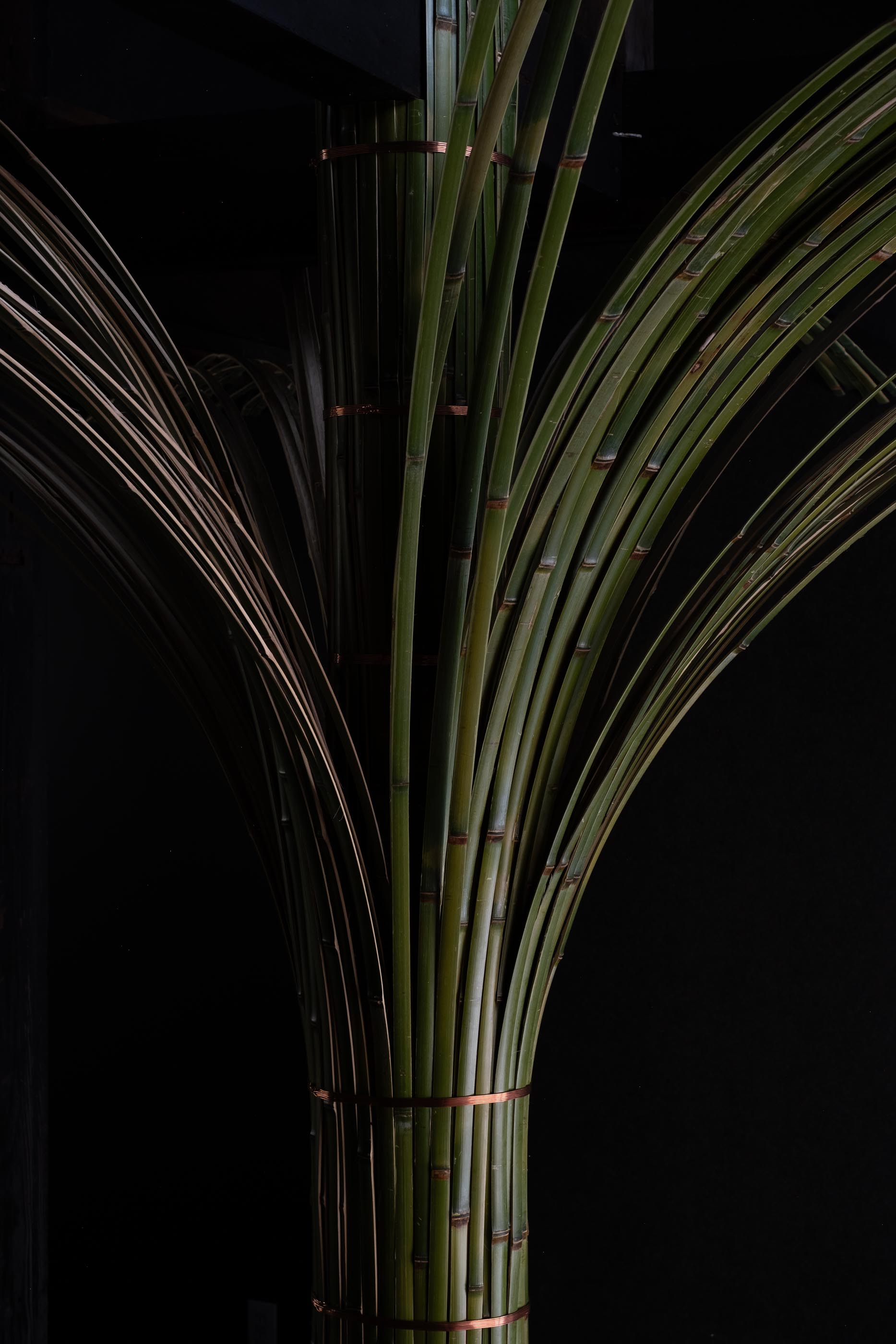 Shinari takesada shoten 9