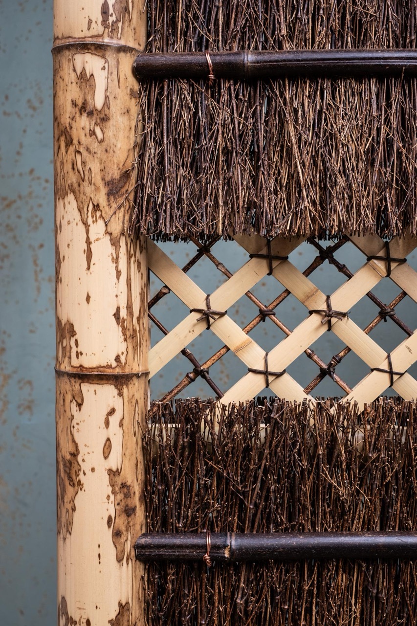 DSCF6732 Edit（大）