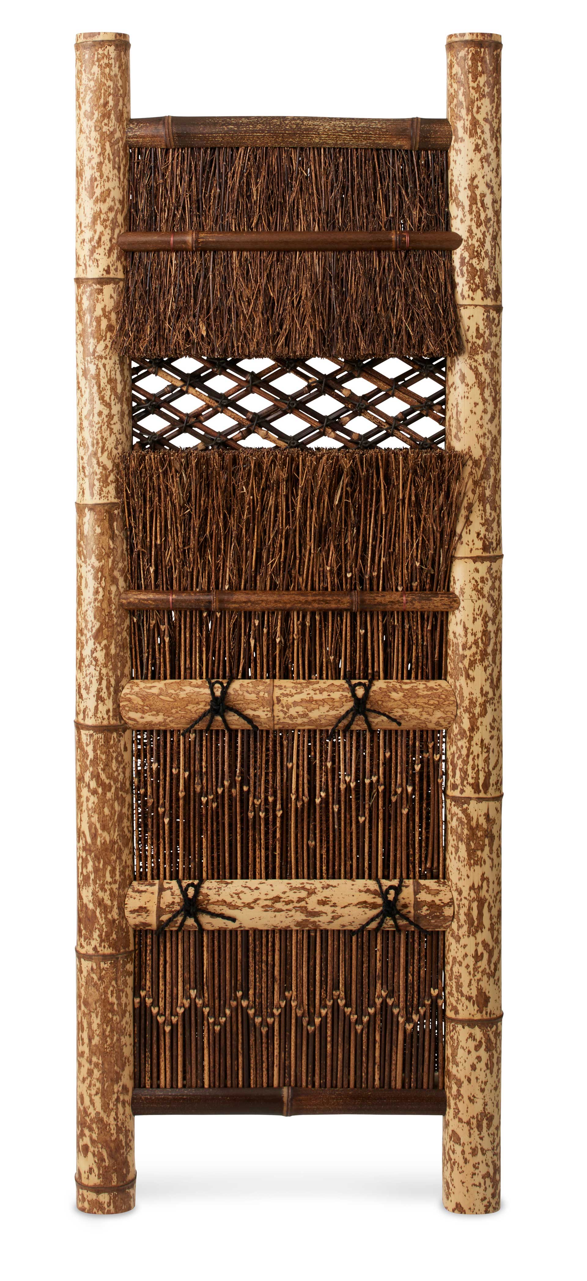 Sodegaki nishiyamagaki